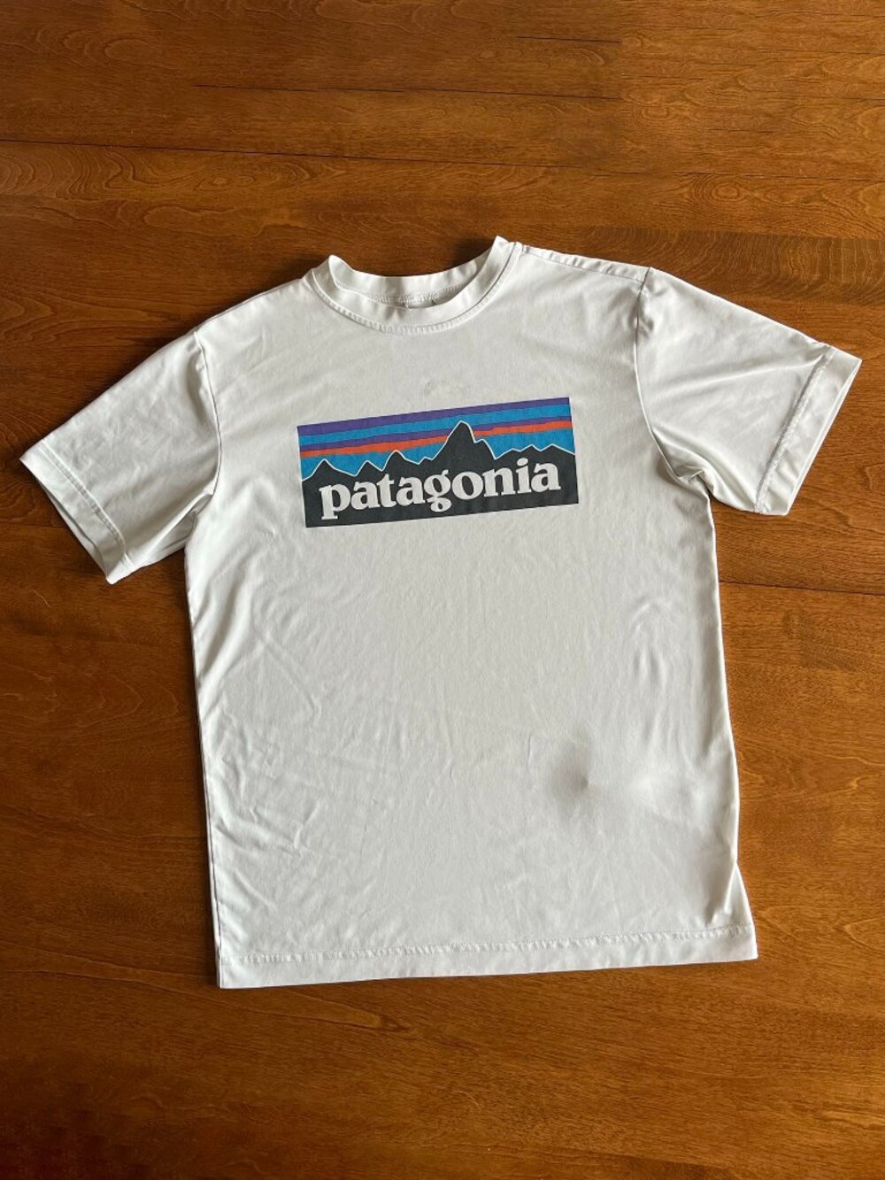 Patagonia white capilene logo T-shirt L 12